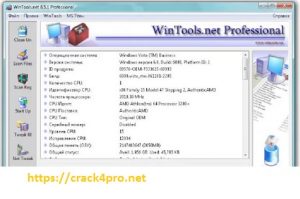 WinTools.net Professional 21.0 Crack