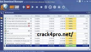 Ant Download Manager Pro 2.7.4 Build 82490 Crack