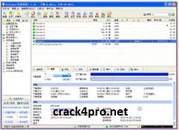 BitComet 1.95 Crack