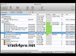 Mipony Pro Crack 3.2.2