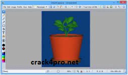 DeskSoft SmartCapture 3.20 Crack