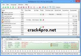 NetBalancer Crack 10.6.1.3129