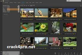 IDimager Photo Supreme 7.4.3.4787 With Crack